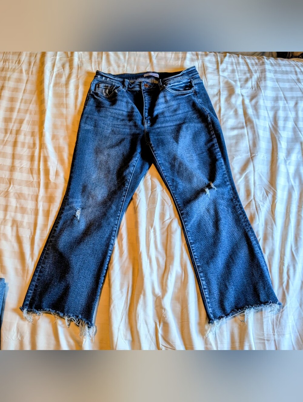 Flying Monkey Jeans Womens 16W High Rise Cropped Flare Raw Hem Distressed